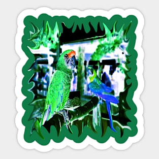 Military Macaw Parrot of the Sunburst Greenery Sticker